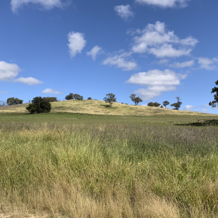 Image of rolling hills in foreground and sky with scattered clouds in background